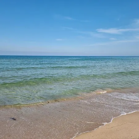 Sea Waves Daire